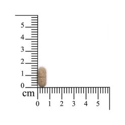 Feelings Control -Haustierbedarfs Geschäft sensipharm feelings control hond en kat 174604 0500 none