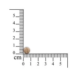 Sensipharm Sneeze Aid Katze -Haustierbedarfs Geschäft sensipharm sneeze aid kat 174685 0500 none