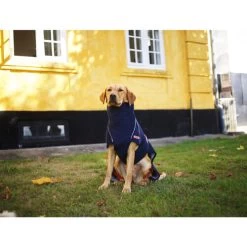 Siccaro WetDog SupremePro -Haustierbedarfs Geschäft siccaro wetdog supremepro 20 216994 0500 none