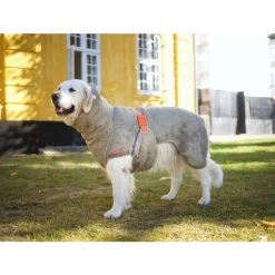 Siccaro WetDog SupremePro -Haustierbedarfs Geschäft siccaro wetdog supremepro 20 216997 0500 none