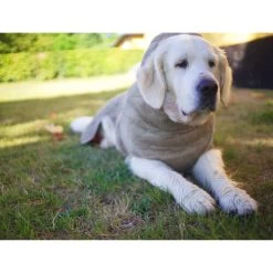 Siccaro WetDog SupremePro -Haustierbedarfs Geschäft siccaro wetdog supremepro 20 216998 0500 none