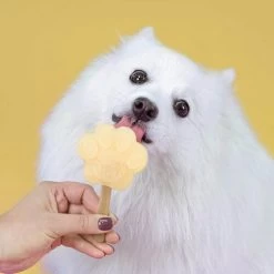 Smoofl Hundeeis Starter Kit -Haustierbedarfs Geschäft smoofl dog ice starter kit 195155 0500 none