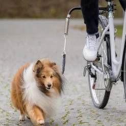 Trixie Biker-Set 5 Trixie Biker-Set -Haustierbedarfs Geschäft trixie fiets set 178264 0500 none