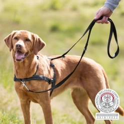 Trixie Lead'n Walk Soft Hundegeschirr -Haustierbedarfs Geschäft trixie leadn walk soft hondentuig 213905 0500 none