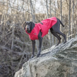 Trixie Regenjacke Vimy -Haustierbedarfs Geschäft trixie regenjas vimy 204854 0500 none