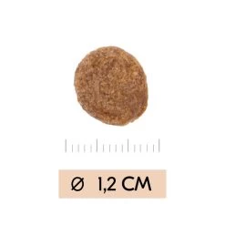 Vetality Gastrointestinal - Hundefutter 6 Vetality Gastrointestinal - Hundefutter -Haustierbedarfs Geschäft vetality gastrointestinal hondenvoer 195449 0500 none