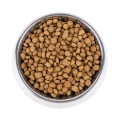 Vetality Metabolic & Mobility - Hundefutter -Haustierbedarfs Geschäft vetality metabolic mobility hondenvoer 195275 0500 none