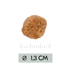 Vetality Metabolic & Mobility - Hundefutter -Haustierbedarfs Geschäft vetality metabolic mobility hondenvoer 195470 0500 none