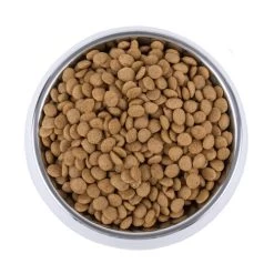 Vetality Skin Support - Hundefutter 7 Vetality Skin Support - Hundefutter -Haustierbedarfs Geschäft vetality skin support hondenvoer 195221 0500 none