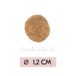 Vetality Skin Support - Hundefutter 6 Vetality Skin Support - Hundefutter -Haustierbedarfs Geschäft vetality skin support hondenvoer 195452 0500 none