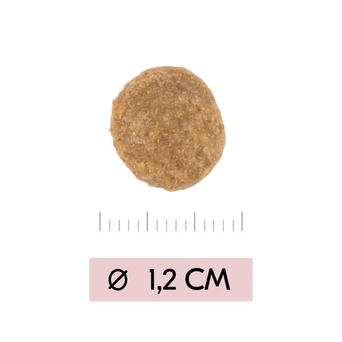 Vetality Skin Support - Hundefutter 3 Vetality Skin Support - Hundefutter – Bild 3