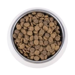 Vetality Urinary - Katzenfutter 7 Vetality Urinary - Katzenfutter -Haustierbedarfs Geschäft vetality urinary kattenvoer 195269 0500 none