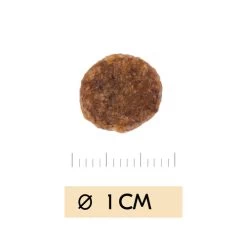 Vetality Urinary - Katzenfutter 6 Vetality Urinary - Katzenfutter -Haustierbedarfs Geschäft vetality urinary kattenvoer 195464 0500 none