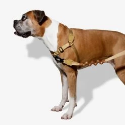 Zee.Dog Soft Walk Harness -Haustierbedarfs Geschäft zeedog soft walk harness 200678 0500 none