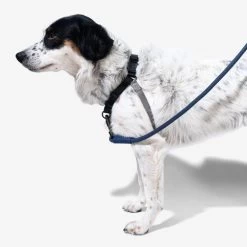 Zee.Dog Soft Walk Harness -Haustierbedarfs Geschäft zeedog soft walk harness 200684 0500 none
