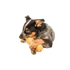 Zogoflex Qwizl -Haustierbedarfs Geschäft zogoflex qwizl 136852 0500 none